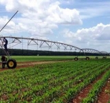   EN EL MARCO DEL 8M AFIRMAN QUE EL RENACIMIENTO MAYA ES UN ALIADO DE LAS MUJERES.